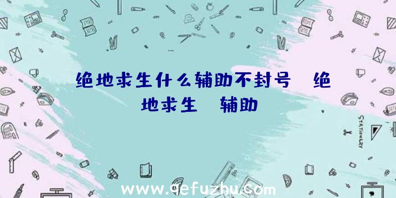 「绝地求生什么辅助不封号」|绝地求生vt辅助